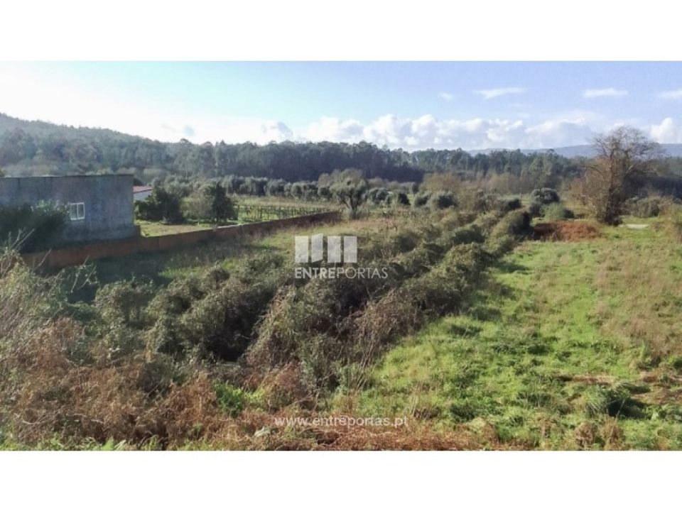 Helårsgrund i Barcelos, Braga - foto 2