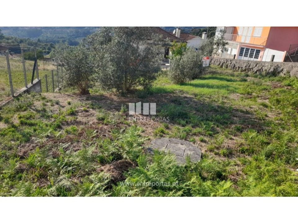 Helårsgrund i Amarante, Porto - foto 3
