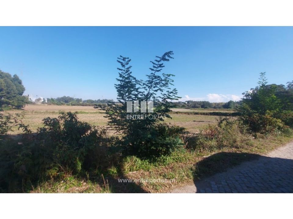 Helårsgrund i Vila do Conde, Porto - foto 1