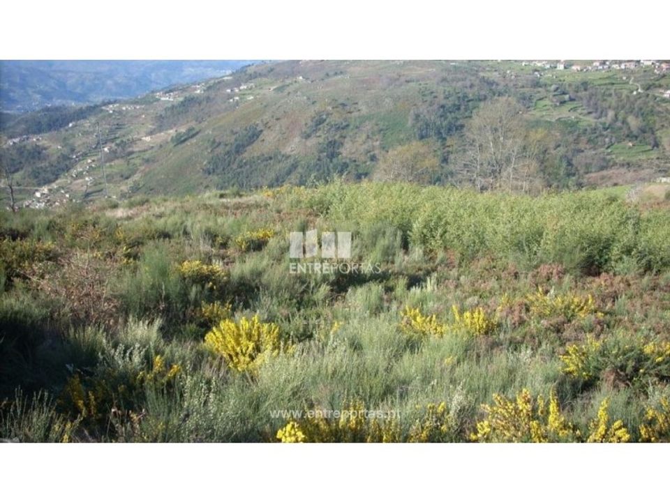 Tomt i Ancede e Ribadouro, Porto - bilde 1