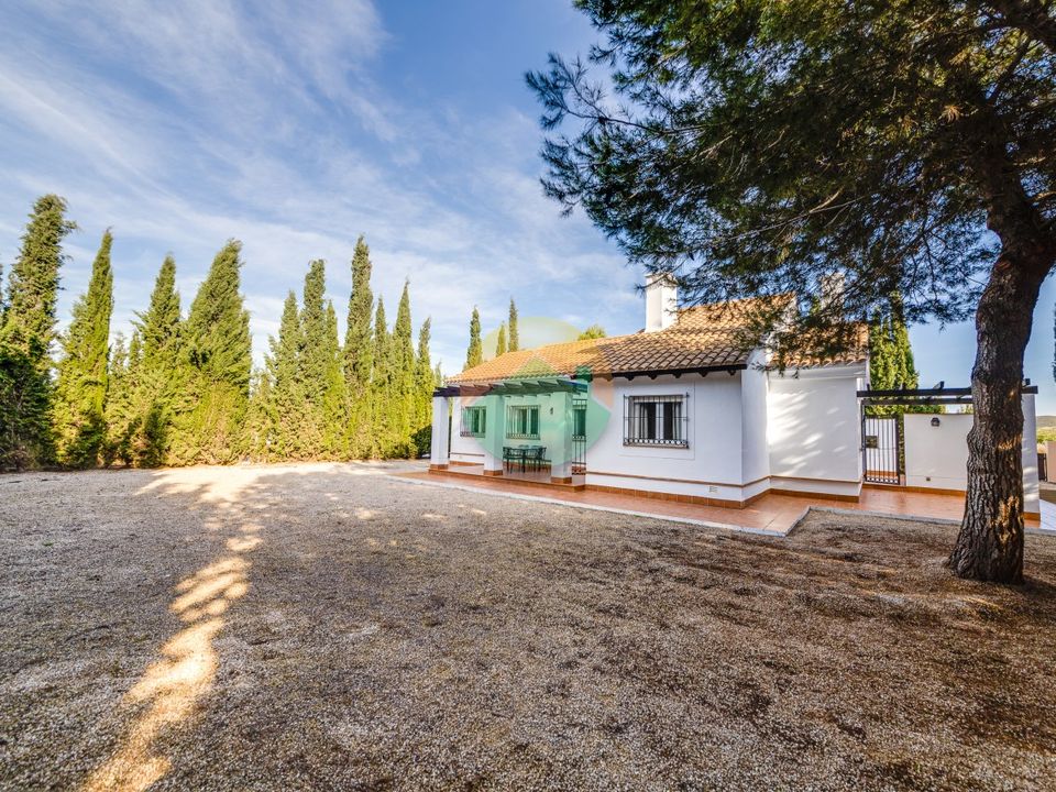 Villa - Las Palas, Murcia - photo 4