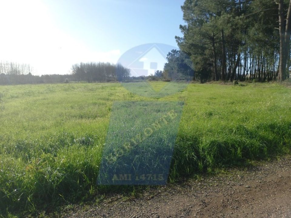 Helårsgrund i Oliveira do Bairro, Aveiro - foto 4