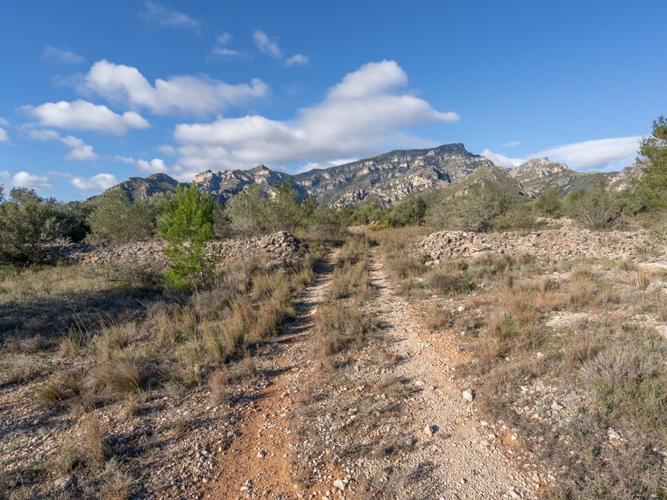 Finca a Roquetes, Tarragona - foto 2