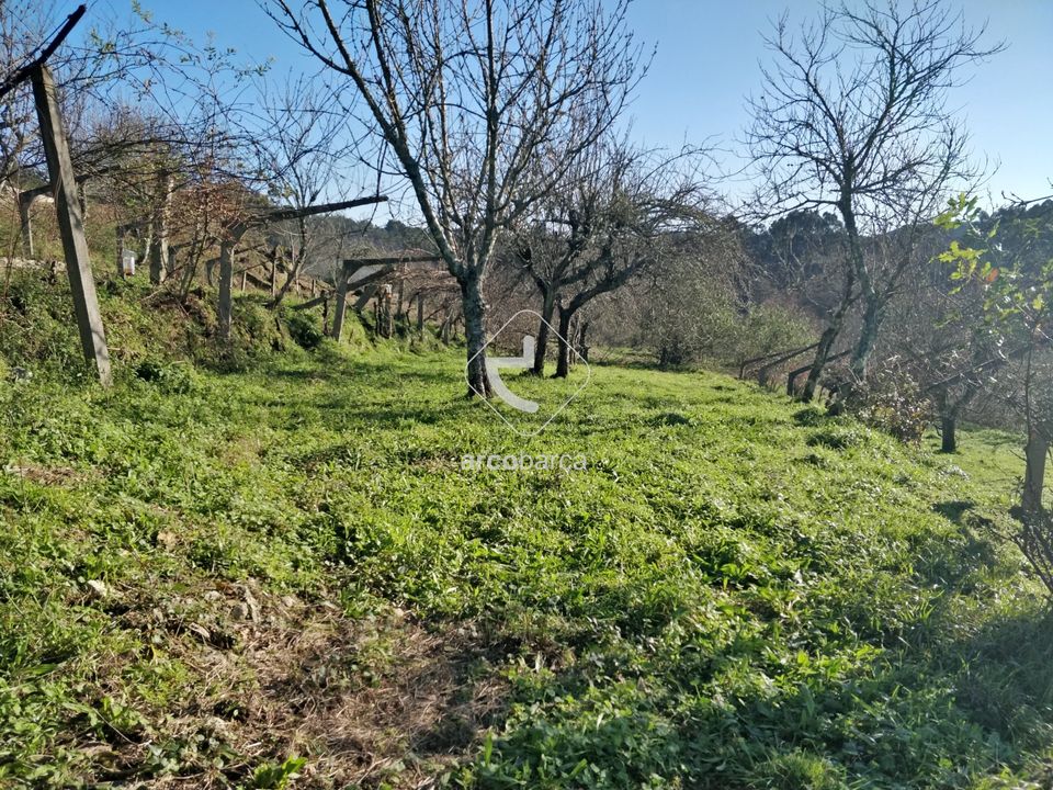 Helårsgrund i Paredes de Coura, Viana do Castelo - foto 3