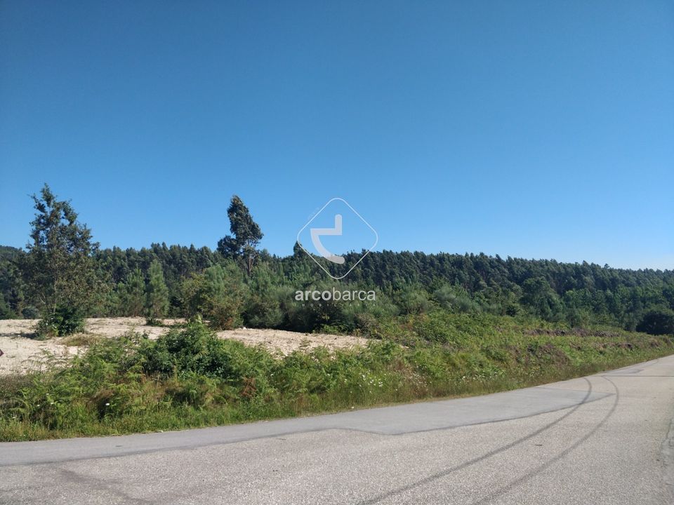 Tomt i Paredes de Coura, Viana do Castelo - bilde 2