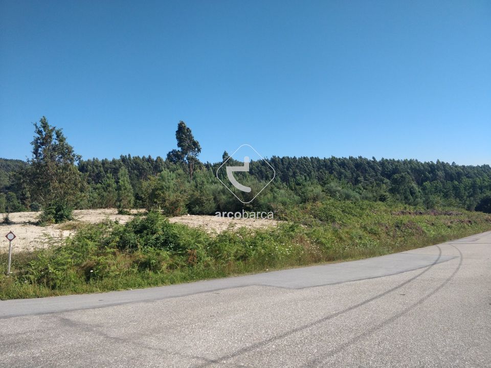 Tomt i Paredes de Coura, Viana do Castelo - bilde 3