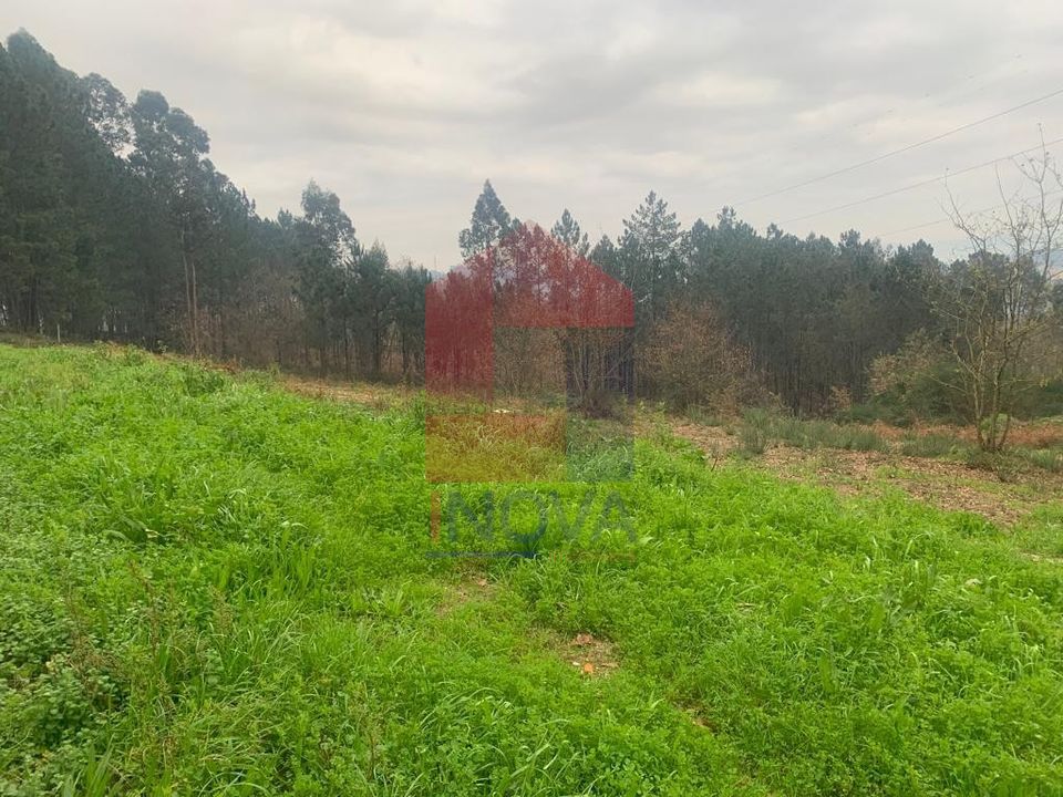 Helårsgrund i Vila Verde, Braga - foto 2