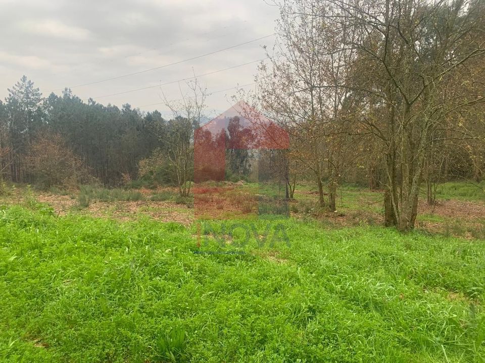 Helårsgrund i Vila Verde, Braga - foto 3