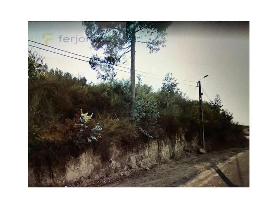 Helårsgrund i Lousa, Coimbra - foto 2