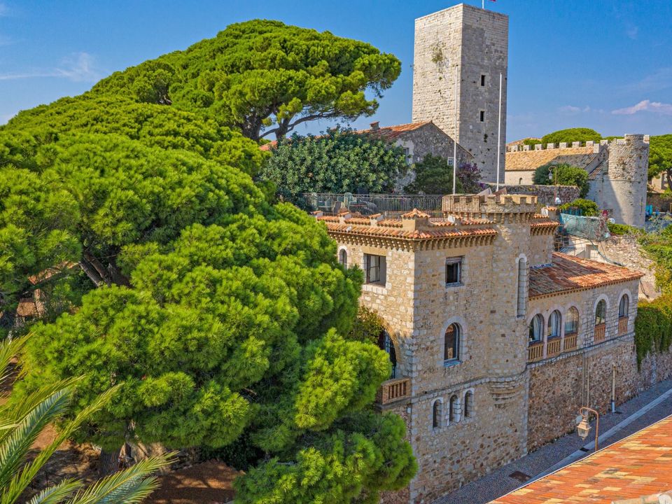 Landejendom i Cannes, Alpes-Maritimes - foto 2