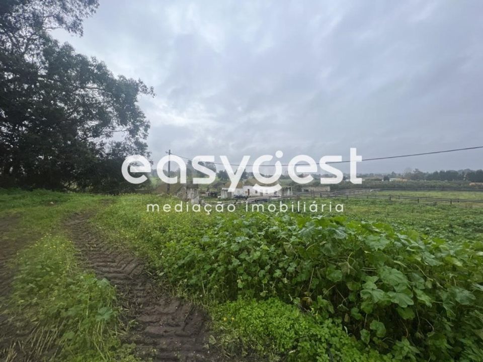 Farm i Pinhal Novo, Setubal - foto 1