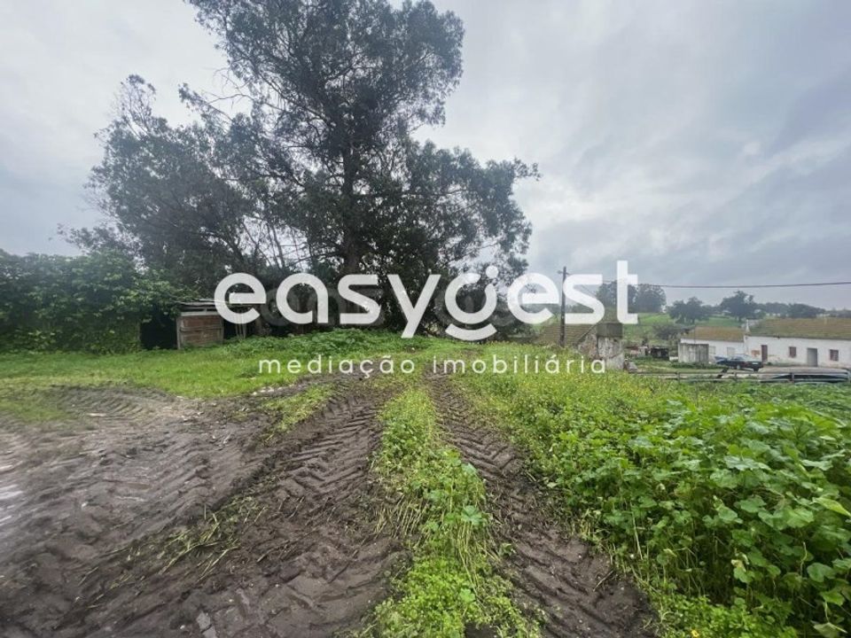 Farm i Pinhal Novo, Setubal - foto 2