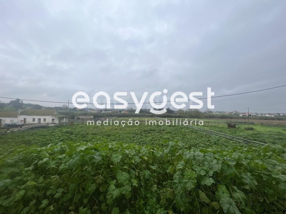 Farm i Pinhal Novo, Setubal - foto 4