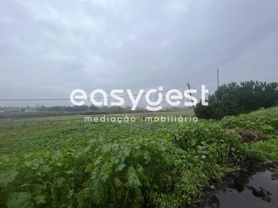 Farm i Pinhal Novo, Setubal - foto 5