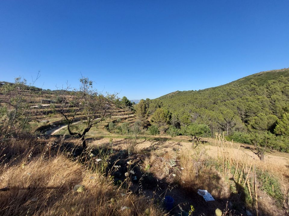 Helårsgrund i Jalon, Alicante - foto 1