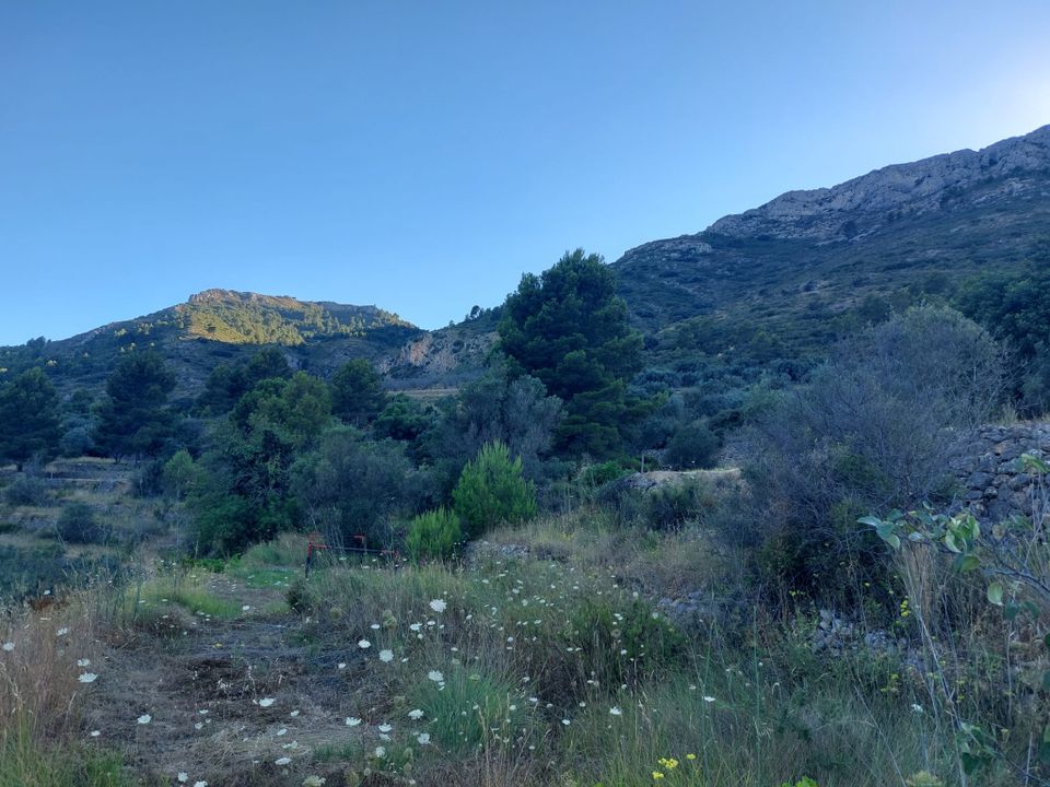 Helårsgrund i Jalon, Alicante - foto 2