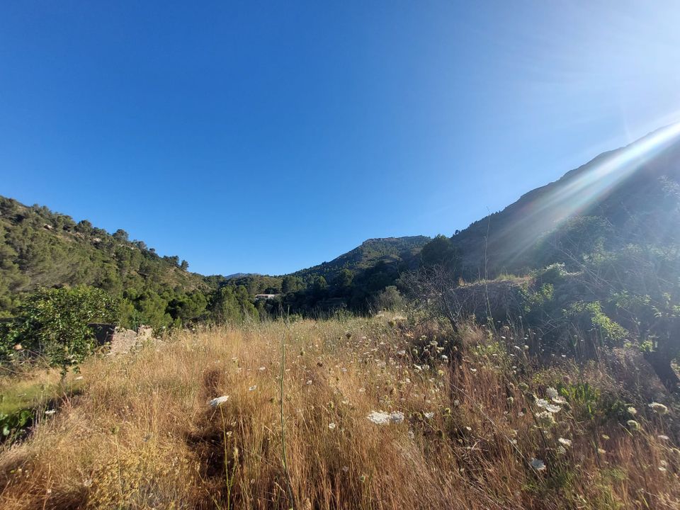 Helårsgrund i Jalon, Alicante - foto 3