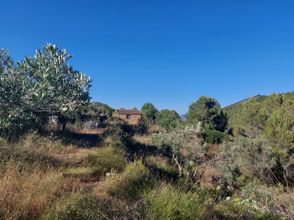 Helårsgrund i Jalon, Alicante - foto 5