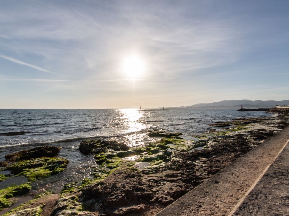 Villa i Palma De Mallorca, Mallorca - foto 3