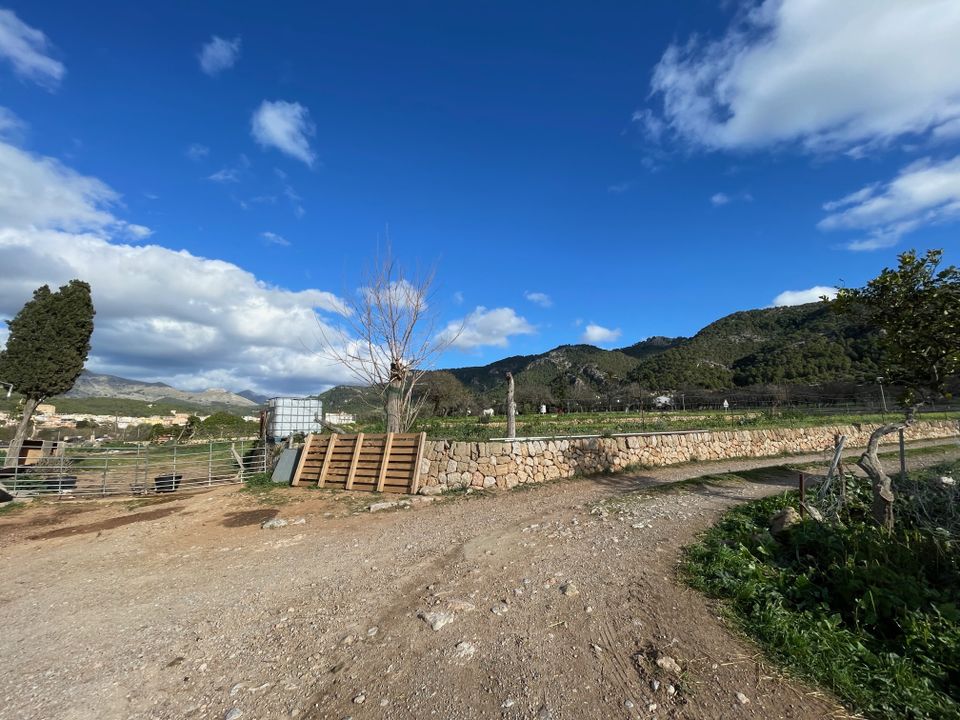 Landejendom i Andratx, Mallorca - foto 5