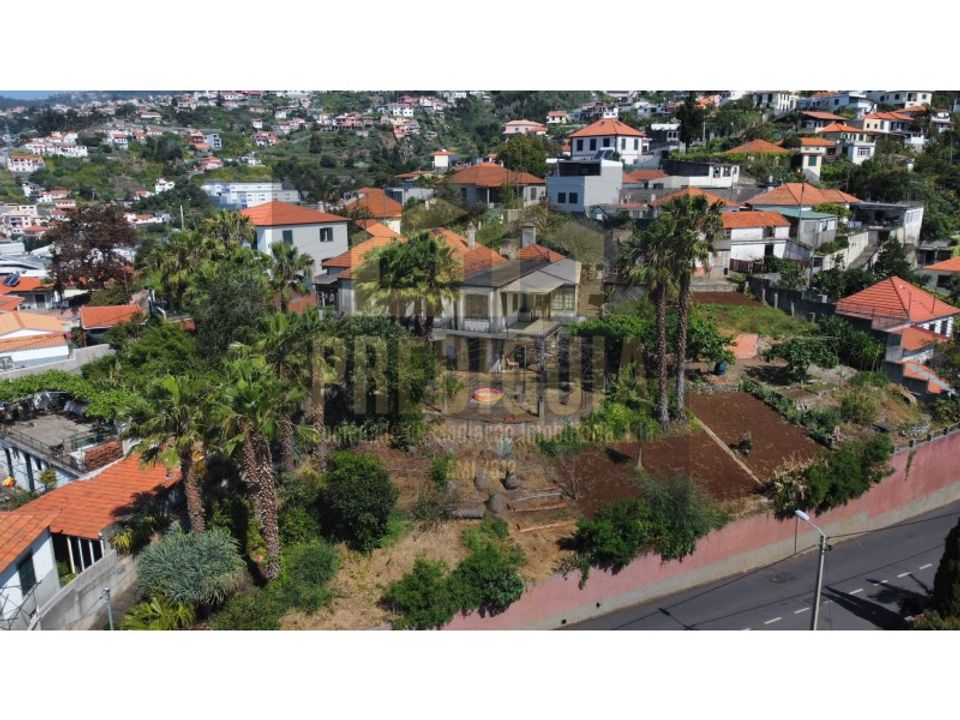 Gård i Sao Roque, Madeira - bilde 4
