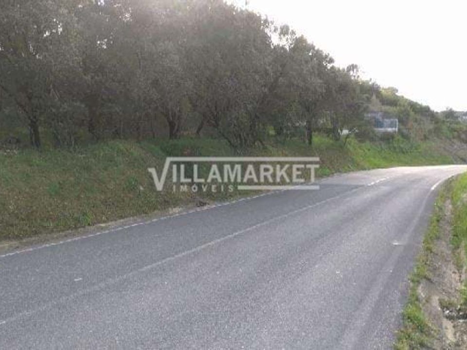 Helårsgrund i Tomar, Santarem - foto 3