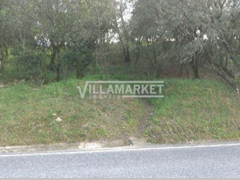 Helårsgrund i Tomar, Santarem - foto 4