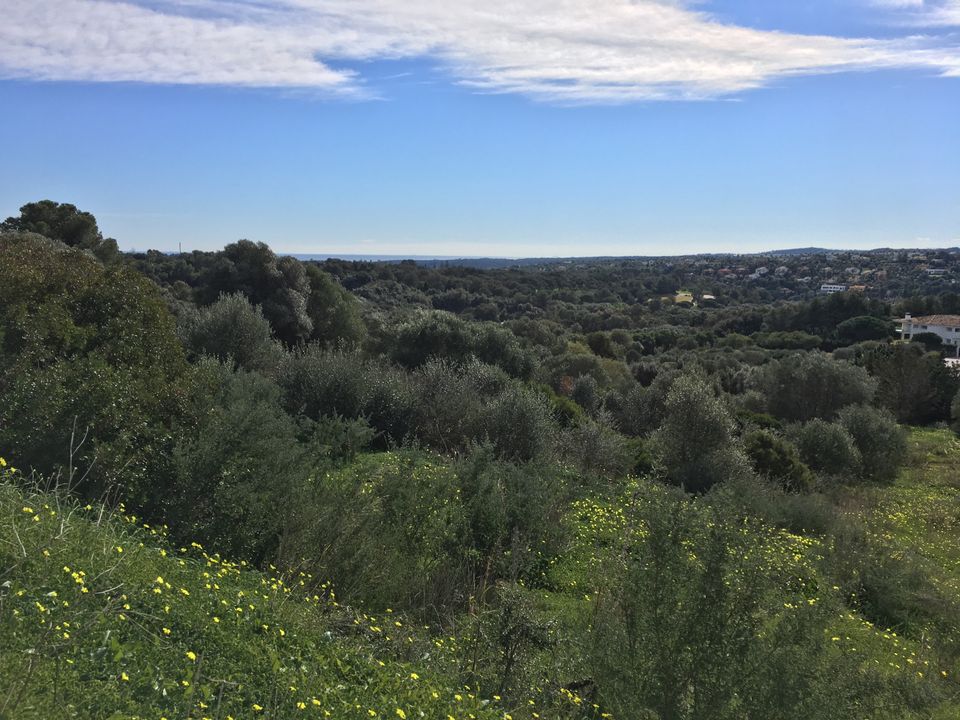 Helårsgrund i Sotogrande, Cadiz - foto 3
