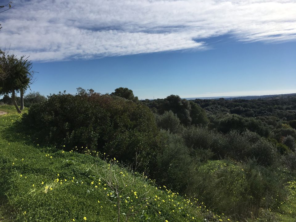 Helårsgrund i Sotogrande, Cadiz - foto 4