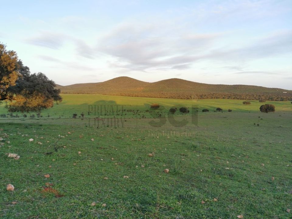Helårsgrund i Vila Verde de Ficalho, Beja - foto 3
