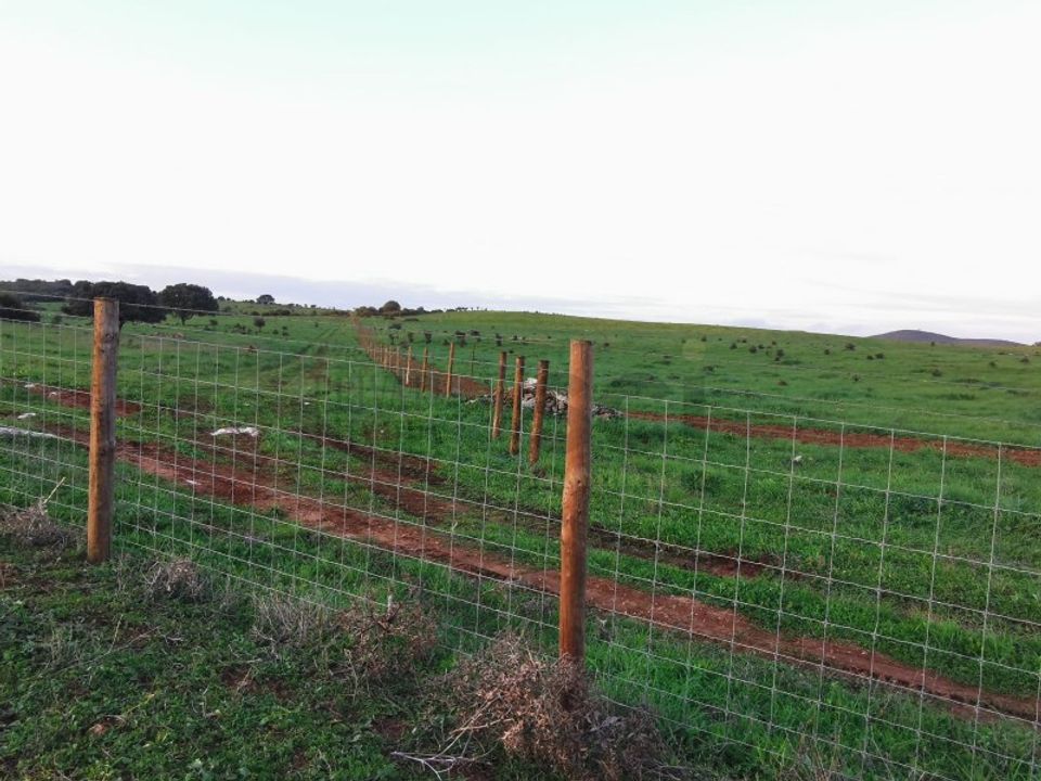 Helårsgrund i Vila Verde de Ficalho, Beja - foto 4