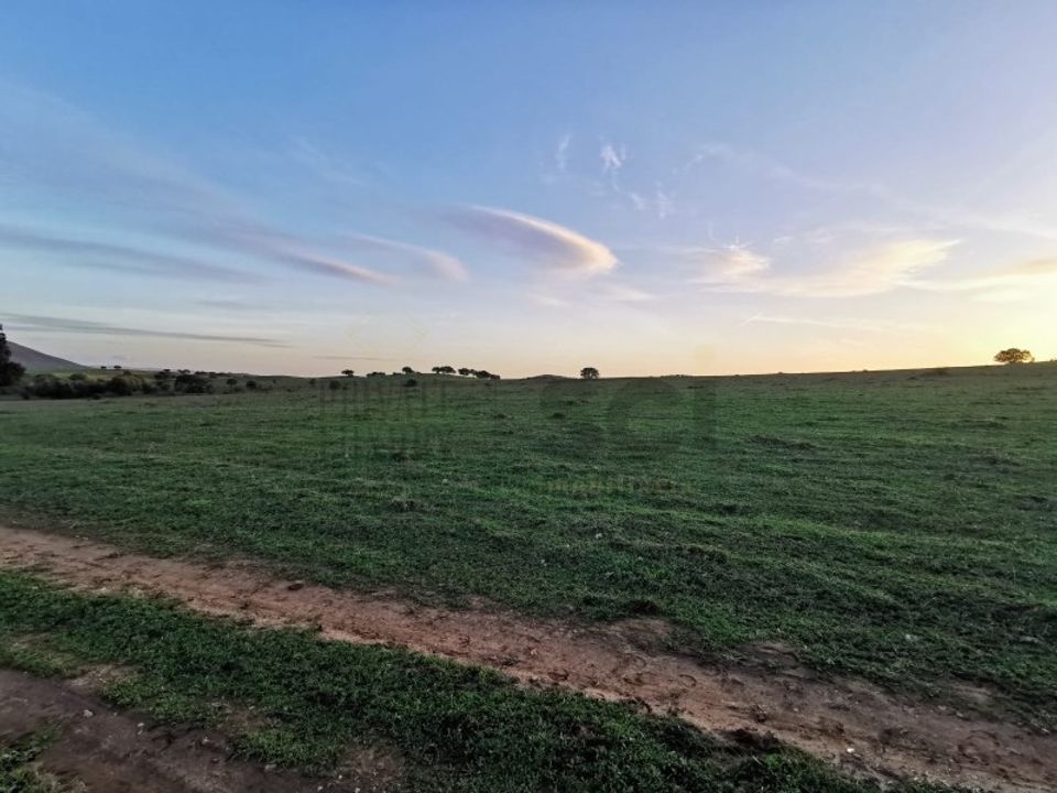 Helårsgrund i Vila Verde de Ficalho, Beja - foto 5