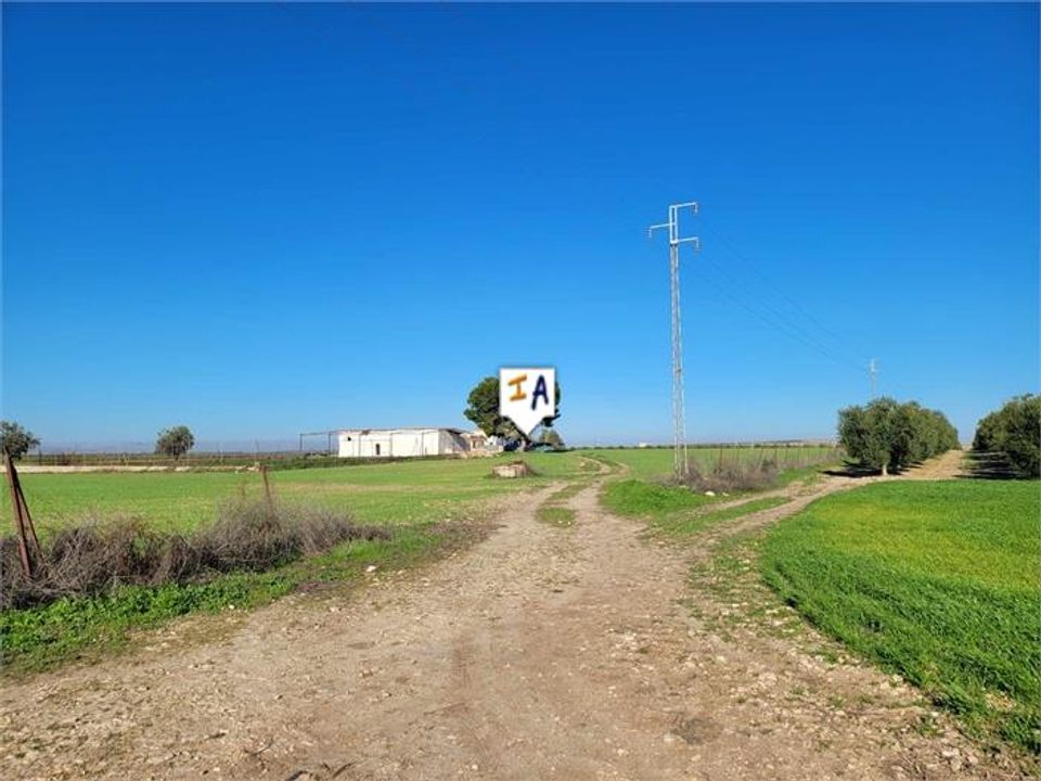 Cortijo i La Lantejuela, Sevilla - foto 4