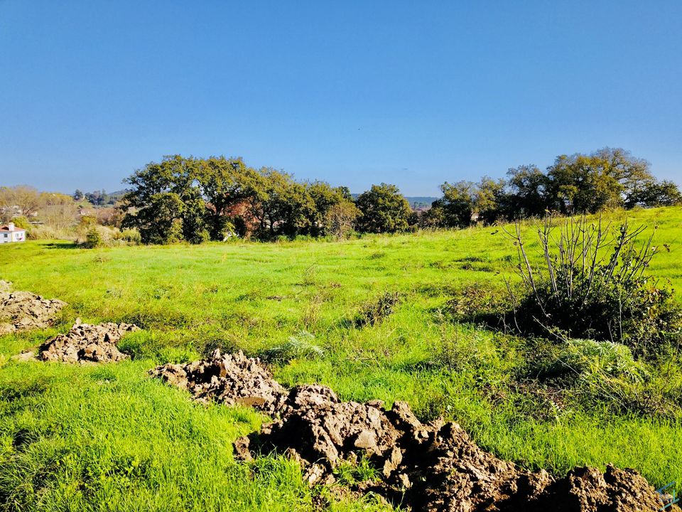 Helårsgrund i Tomar, Santarem - foto 2