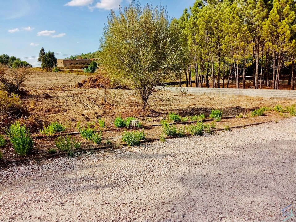 Helårsgrund i Tomar, Santarem - foto 3