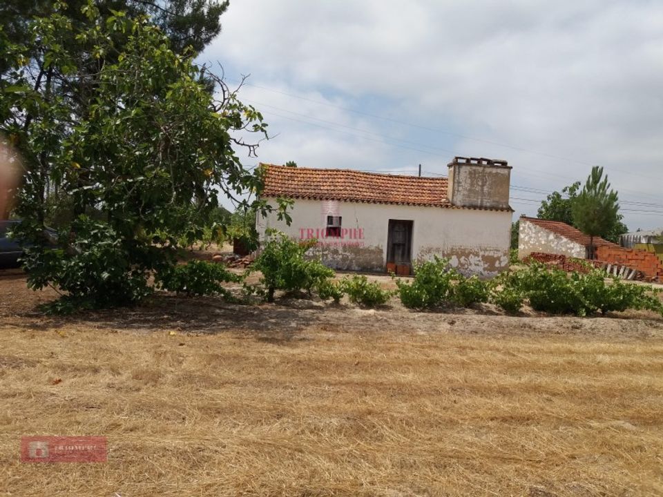 Farm i Coruche, Santarem - foto 1