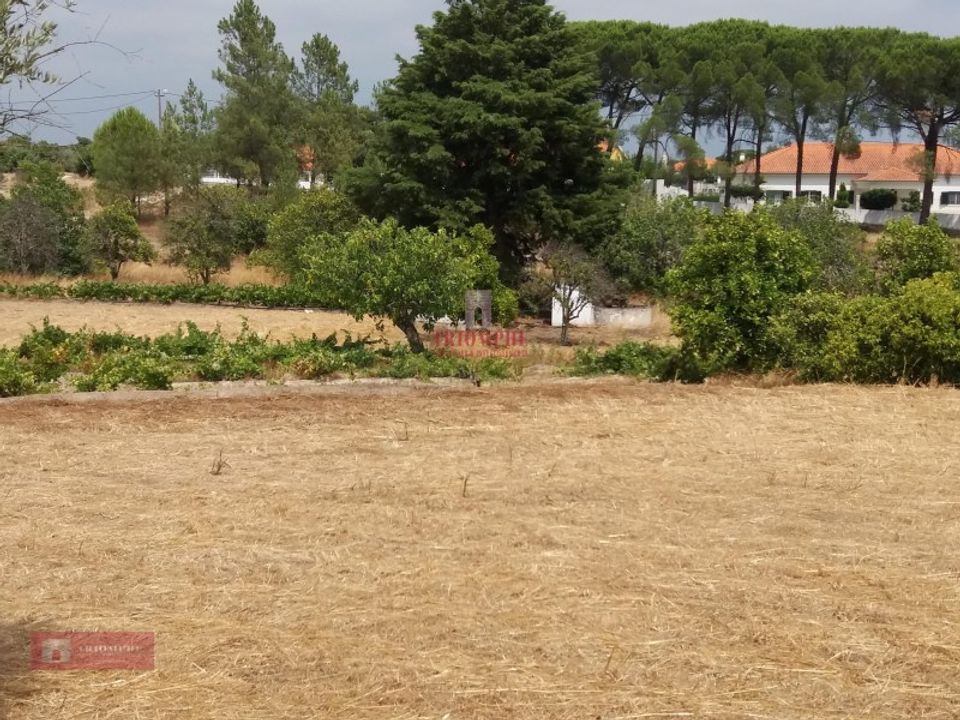 Farm i Coruche, Santarem - foto 2