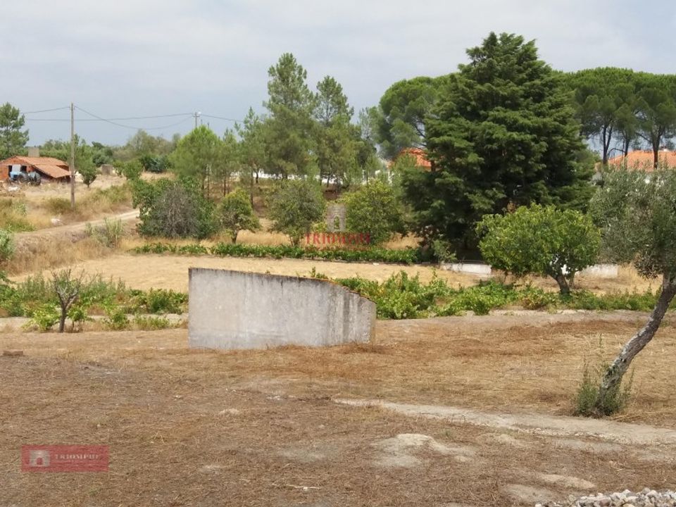 Farm i Coruche, Santarem - foto 3