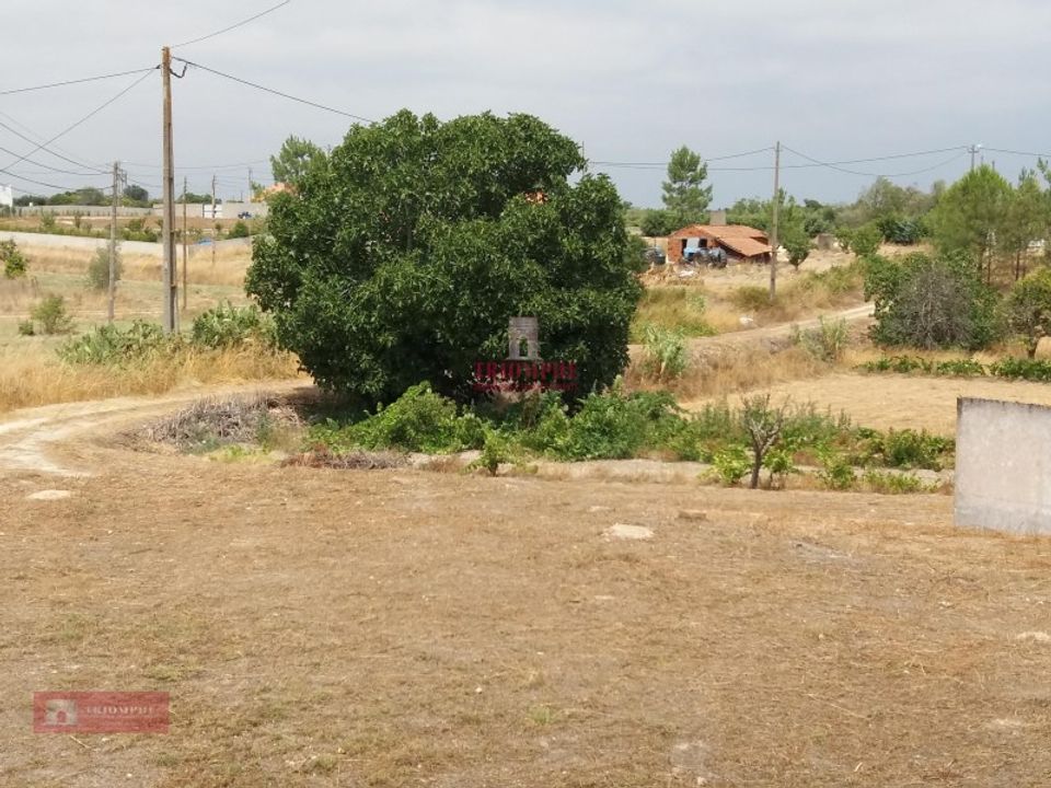 Farm i Coruche, Santarem - foto 5