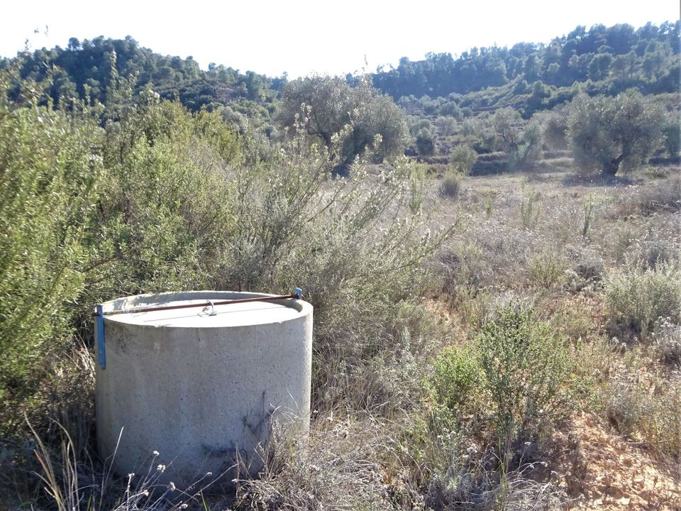 Finca i Maella, Zaragoza - bilde 4