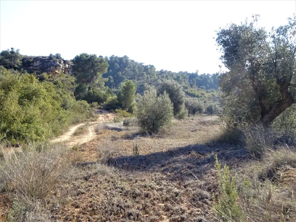 Finca i Maella, Zaragoza - bilde 2