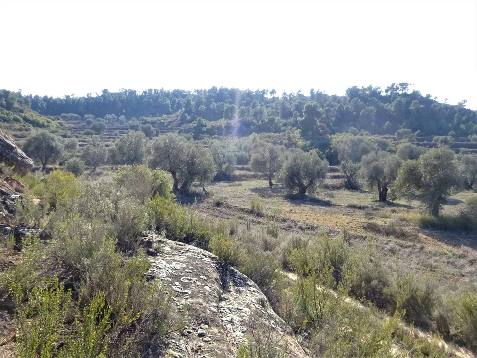Finca i Maella, Zaragoza - bilde 3