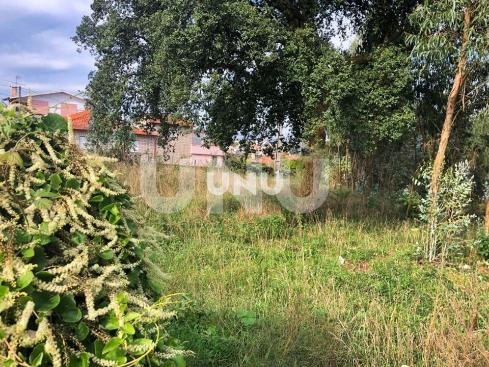Helårsgrund i Vila de Cucujaes, Aveiro - foto 3