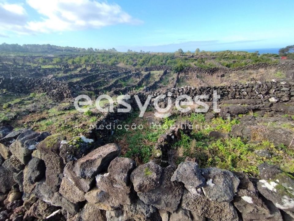 Helårsgrund i Santa luzia, Pico - foto 2