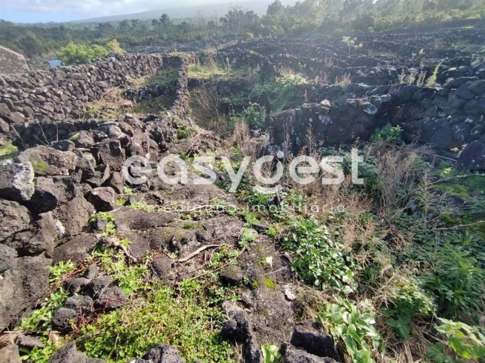 Helårsgrund i Santa luzia, Pico - foto 3