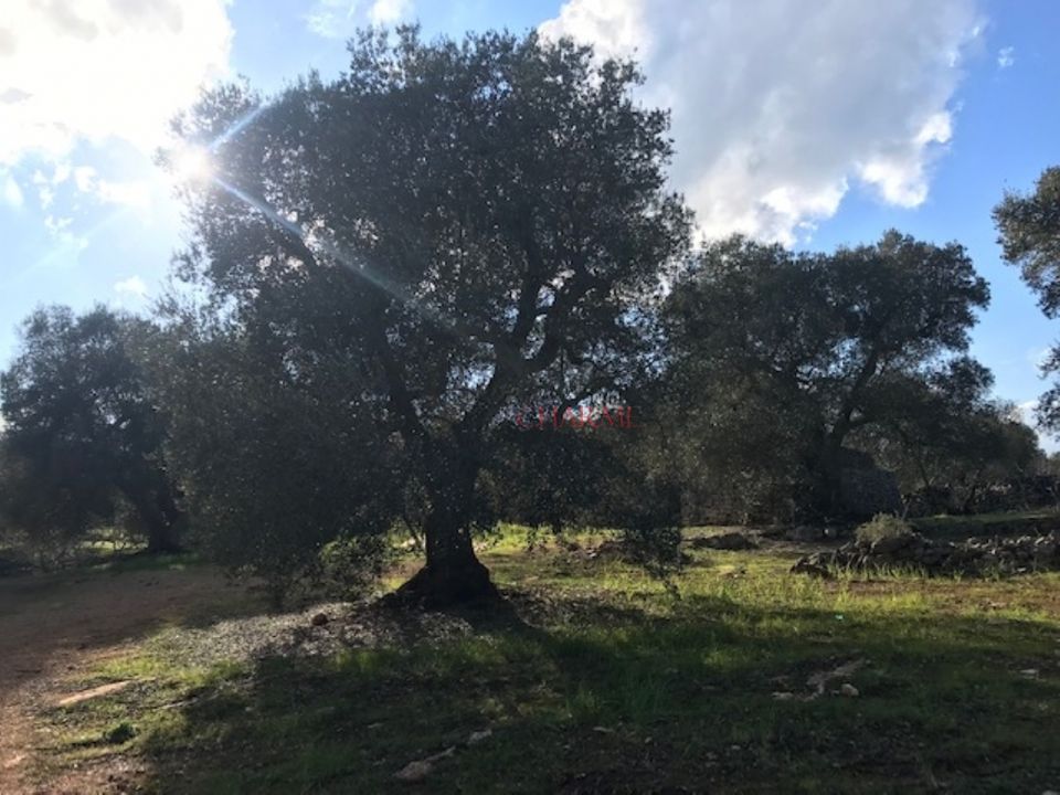 Landejendom i Ceglie Messapica, Brindisi - foto 4