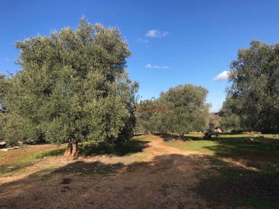 Landejendom i Ceglie Messapica, Brindisi - foto 3