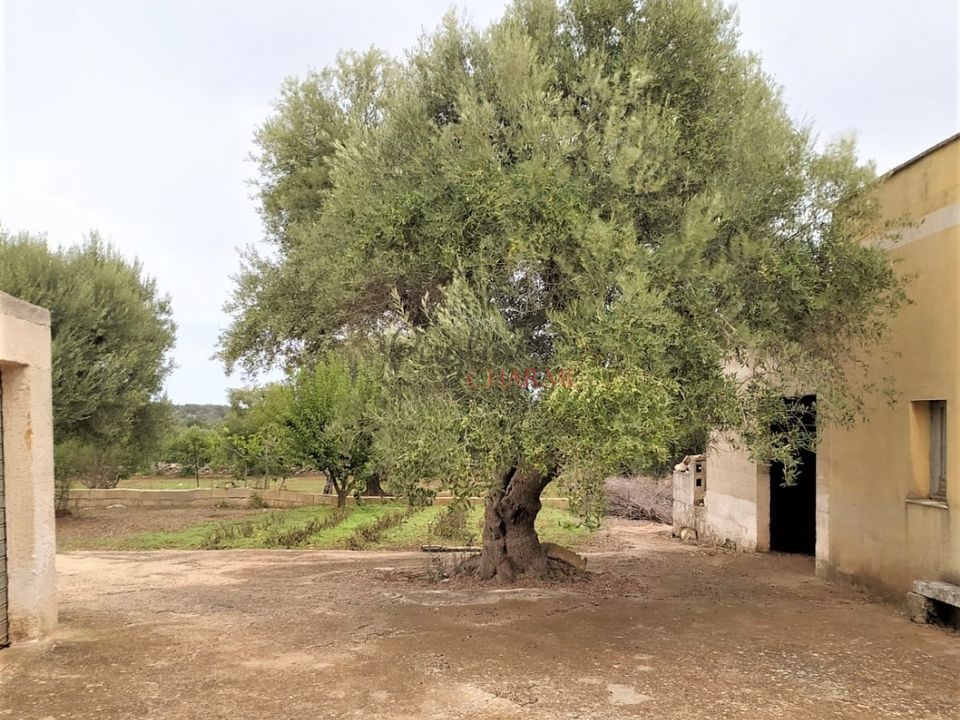 Landejendom i Ceglie Messapica, Brindisi - foto 5