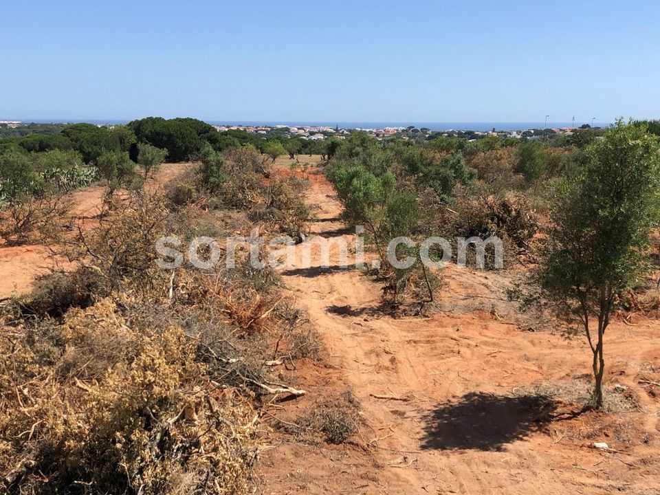 Helårsgrund i Albufeira, Faro - foto 2