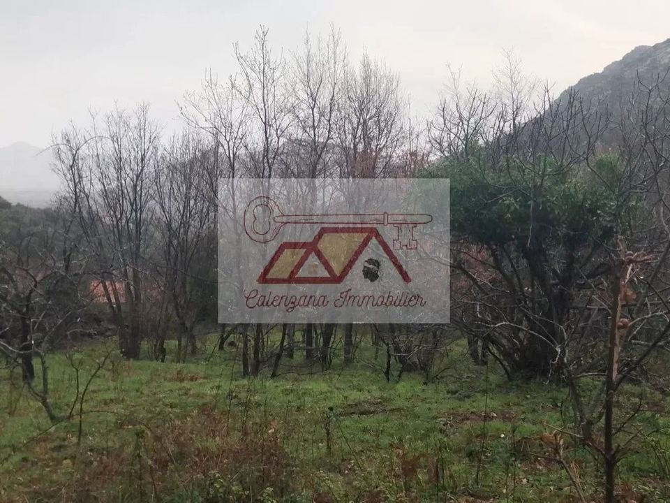 Helårsgrund i Muro, Haute-Corse - foto 3